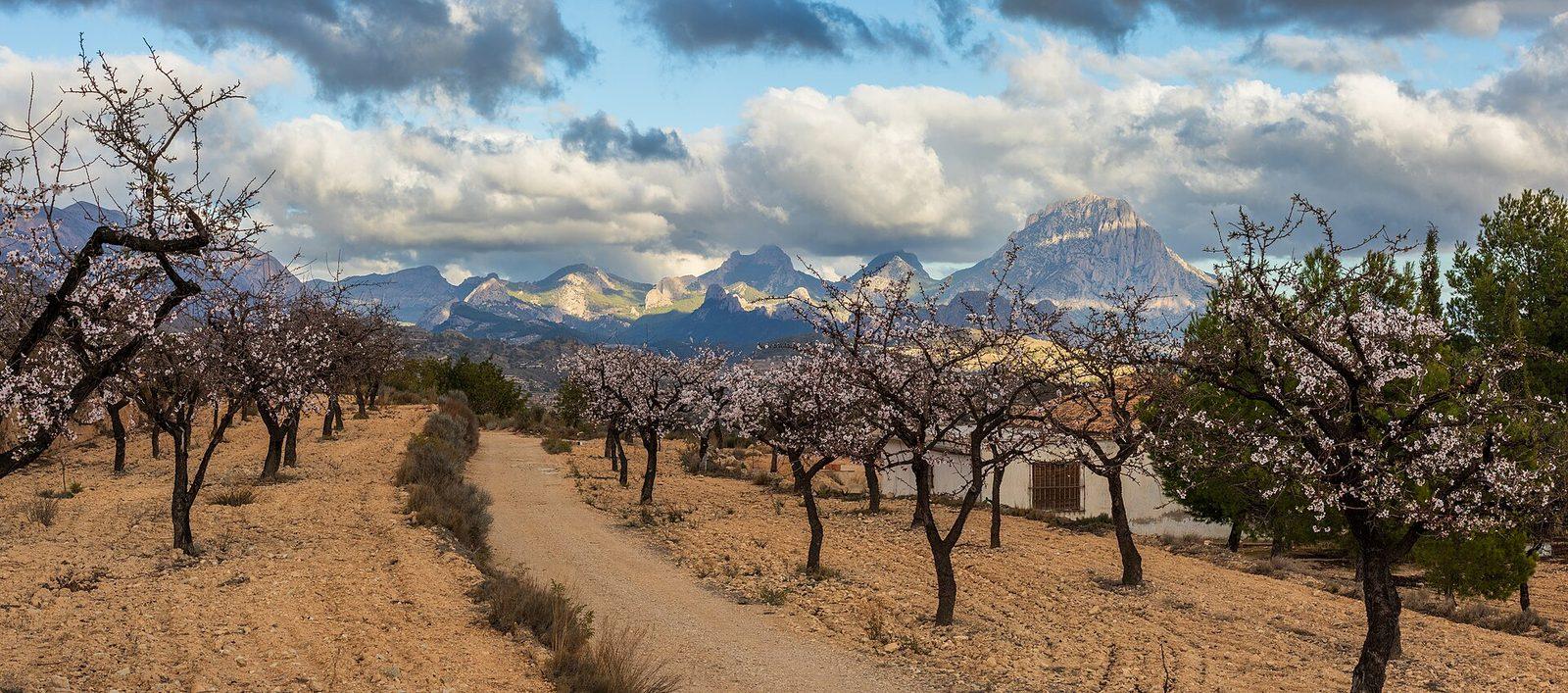 De bästa dagsturerna på Costa Blanca