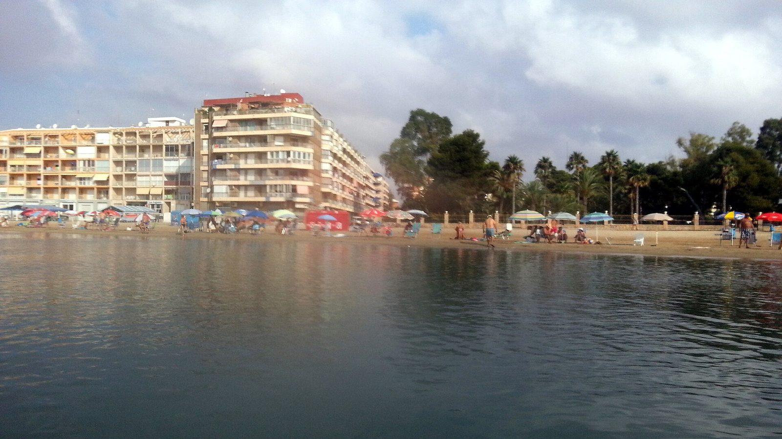 Var ska du bo i Torrevieja?