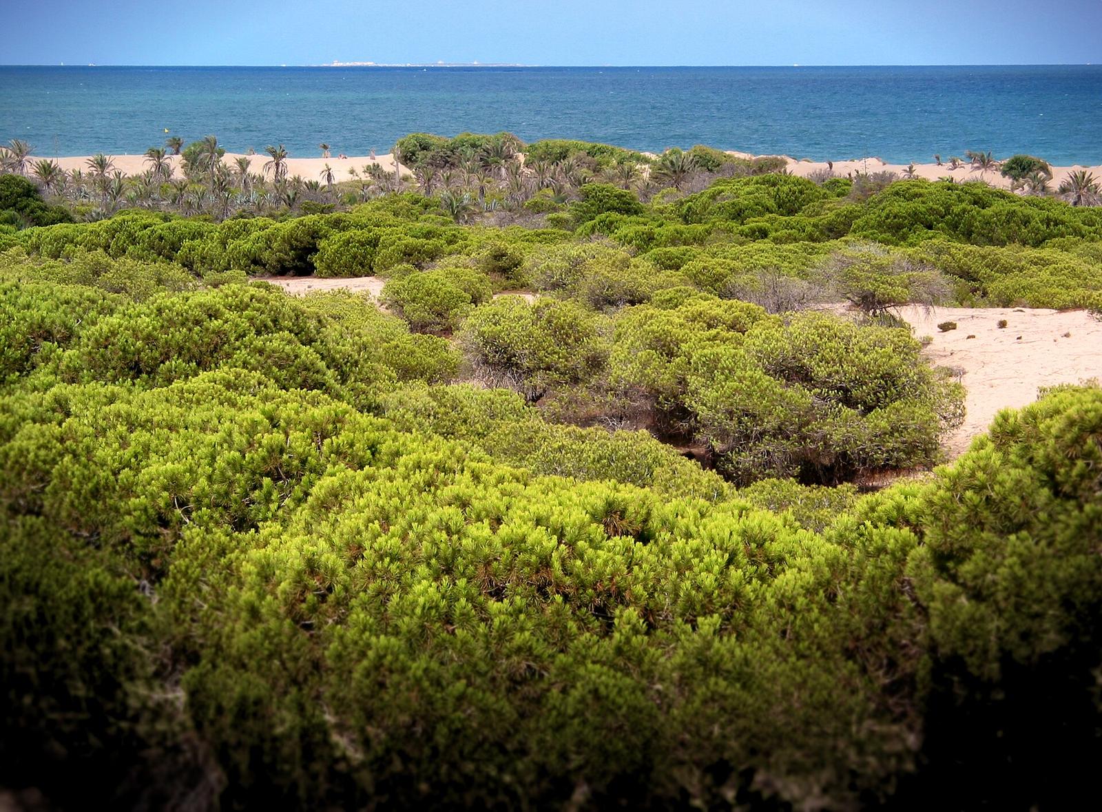 Tio dagar på södra Costa Blanca