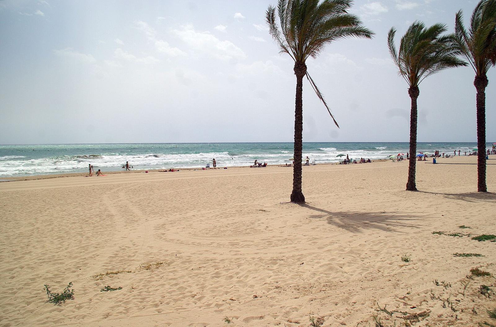 Playa de Muchavista